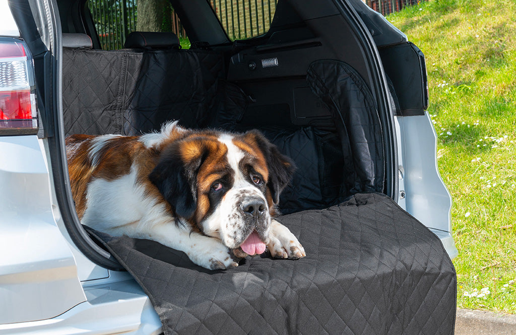 Boot Liners: How Useful Are They?