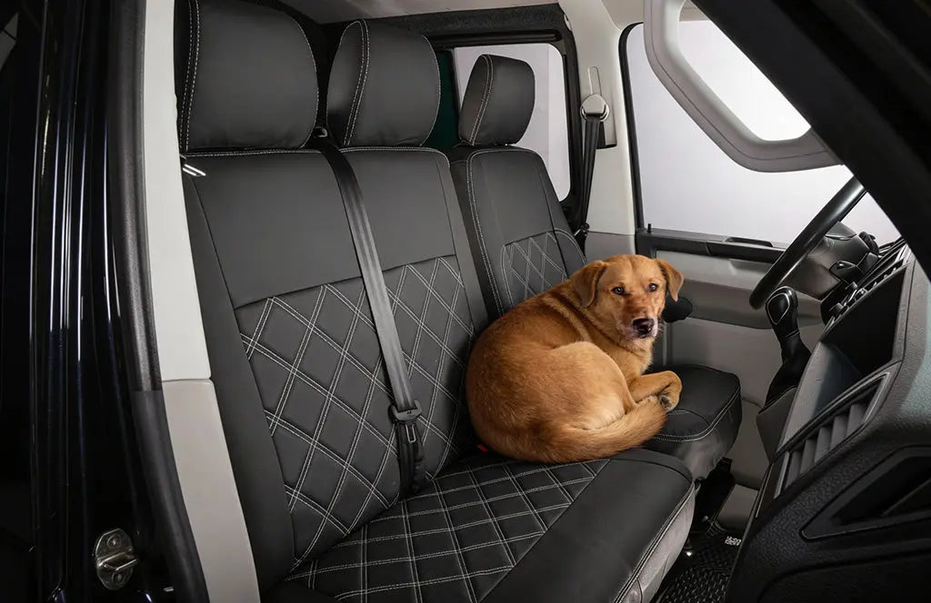 Best Car Accessories for Pet Owners in the UK